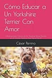  Cómo Educar a Un Yorkshire Terrier Con Amor: Adiestramiento Canino de Un Yorkshire Terrier Basado en el Vínculo Afectivo Que Tienes Con Él