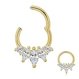 Lantine Piercing de acero quirúrgico 316L con bisagras, de 16 g, con circonita cúbica, para tabique, hélice, rook, tragus, joyería de 8 mm, 10 mm, aro de nariz de marquesa con circonita cúbica para