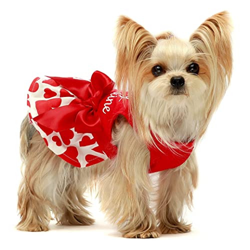 Fitwarm Valentines Day Be My Pawlentines Dog Dresses Puppy Party Costumes Doggie Shirts Cat Outfits Red Medium