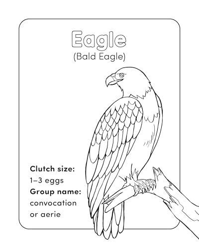 Bird Book for Kids: Coloring Fun and Awesome Facts (A Did You Know? Coloring Book) - Image 3