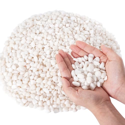 GreatBuddy 5-lb Decorative Rocks for Indoor Plants 3/8 White Pebbles Small Rocks for Potted Plants Succulent Vases Aquariums Fish Tanks Garden Landscaping Natural Polished
