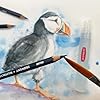 Derwent Colored Pencils, WaterColour, Water Color Pencils, Drawing, Art, Metal Tin, 24 Count (32883) #5