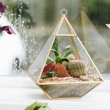 Clear Glass Geometric Terrarium Flower Pot Hanging Window Sill Balcony Tabletop Decor DIY Display Container Pearl Diamond Holder for Succulents Fern Moss Air Plants Gift- Gold (B09NJ92M3B) Amazon Price History, Amazon Price Tracker