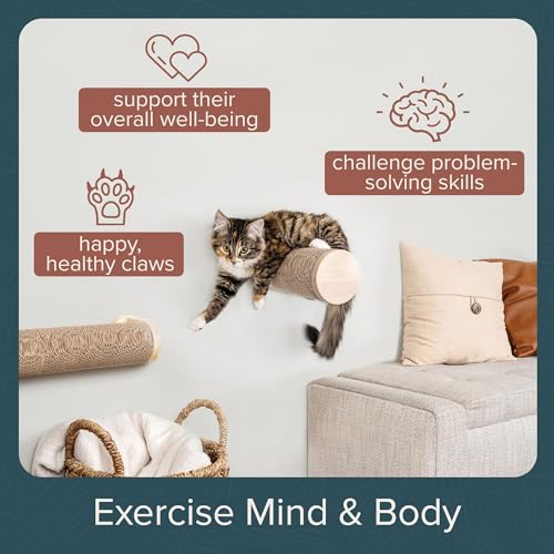 Image of Wall-Mounted Cat Perch & Scratching Post (Modern Cat Wall Furniture) - Milestone | FurHaven Ascentials
