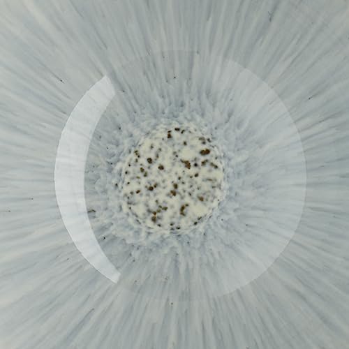 Denby-Halo-Speckle-Rice-Bowls-Set-of-6-16-Ounce-Dishwasher-Microwave-Safe-Scratch-Chip-Resistant-Grey-Neutral-Blue-Ceramic-Stoneware-Soup-Bowls-Tableware