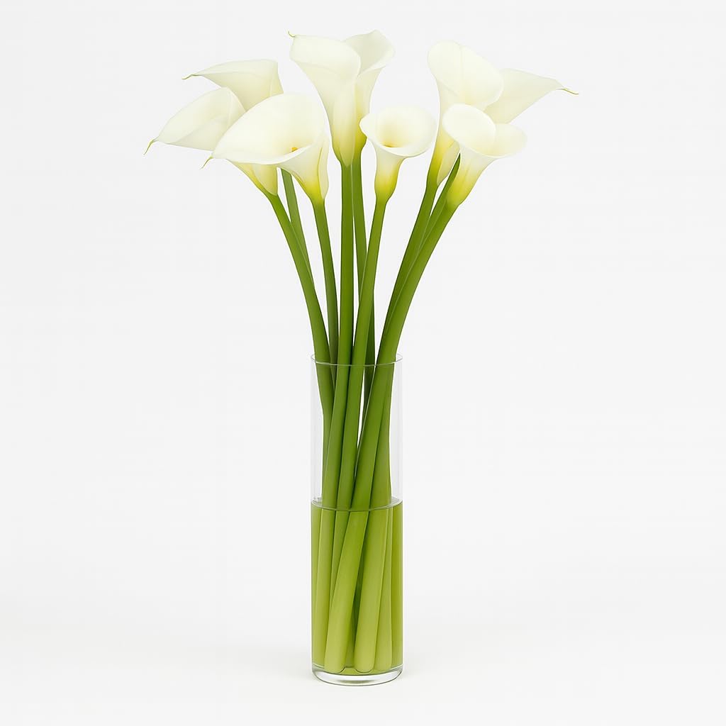 GlobalRose 12 White Calla Lily Flowers – Hand-Picked Flowers Fresh Bouquet for Graduation, Anniversary, Birthday & Special Occasions
