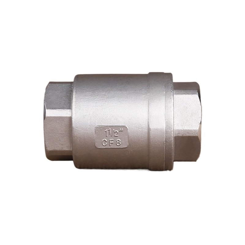 BSPT – clapet Anti-Retour Femelle 1/2 "DN15 DN20 DN25, en Acier Inoxydable 304, clapet Anti-Retour Vertical à Ressort en Ligne, 1000 WOG(DN25)