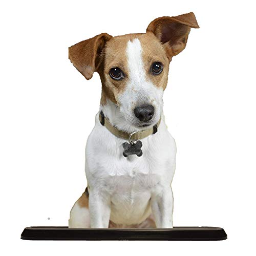 Statuette personnalisé à partir de votre propre photo Chien, chat, Animaux de compagnie