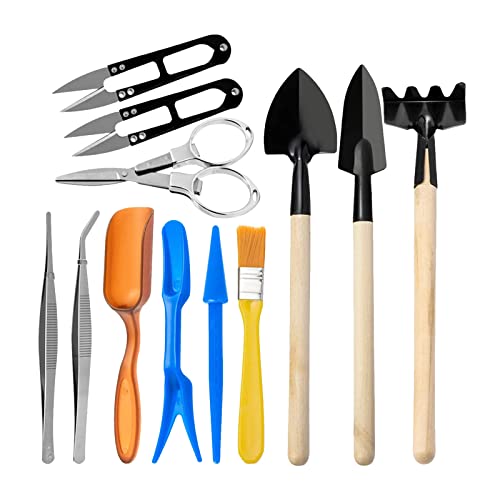 12PCS Succulent Tools, Mini Garden Tool Set Potting Cactus Houseplant Transplanting Tools Set for Seedling Soil Caring Succulent Houseplent