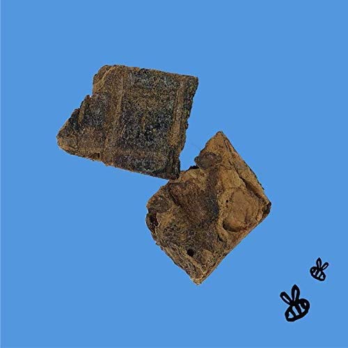 Honey I'm Home, Lung Bites Buffalo Dog Treats, 3.1 Ounces - All Natural, Free Range, Healthy, Grain Free, Honey Coated & Crispy #TOP2