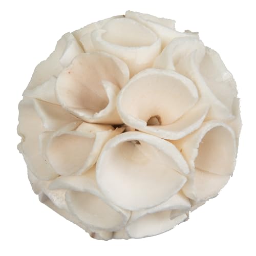 Sola Crape Ball botánica de Vickerman, planta preservada de alta calidad marrón, 50 piezas