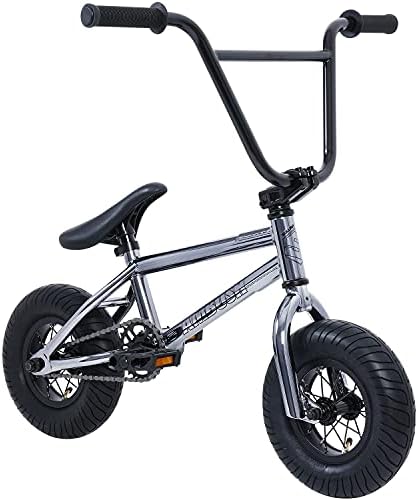 قیمت و خرید Sullivan Ambush Mini BMX 