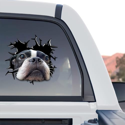 Image of Cute Dog Stickers for Car Window Decals Waterproof Funny Sticker (Boston Terrier Sticker)