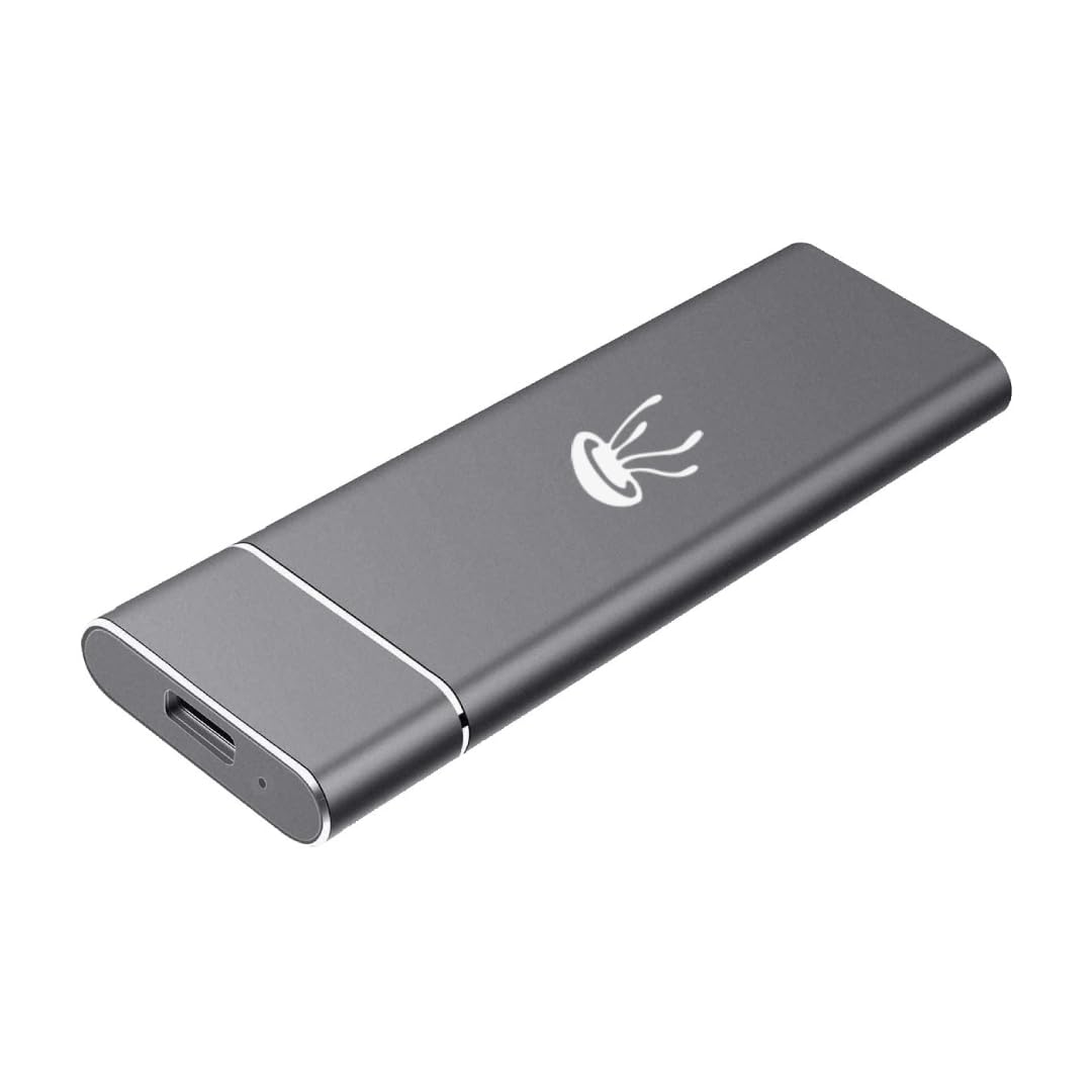 KARMATECH SSD Esterno 256GB, SSD Portatile USB-C Fino a 500MB/s, Unità a Stato Solido Esterna per Archiviazione Dati, Compatibile con Windows, Mac, Laptop, Smartphone, PS5, Xbox (Ricondizionato)