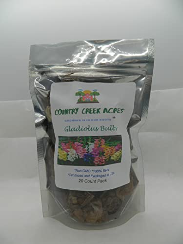 GLADIOLUS, BULB (20 PACK) PASTEL MIXED, MIXED PERENNIAL GLADIOLUS BULBS, FLOWERS
