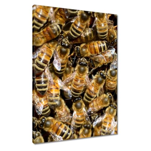 Peinture imprimée sur toile Abeilles au travail pour habiller un grand mur vide 50 x 70 cm