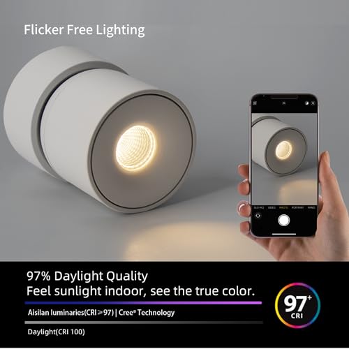 Image of Aisilan 15W LED Dimmable Ceiling Spotlight, Adjustable Directional Surface Flush Mount Lighting, Wall Spot Lights Indoor Accent Fixture for Art Picture Gallery Paintings, 3000K, White