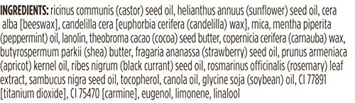 Burts-Bees-100-Natural-Moisturizing-Lip-Shimmer-Champagne-1-Tube Burt's Bees Lip Balm, Moisturizing Lip Shimmer for Women, for All Day Hydration, with Vitamin E & Coconut Oil, 100% Natural, Champagne, 0.09 Ounce