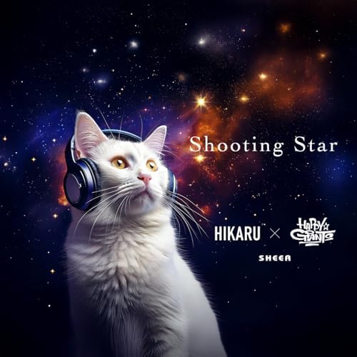 邦楽 Find the truth/Shooting Star 邦楽 Find the truth/Shooting Star Shooting Star (feat