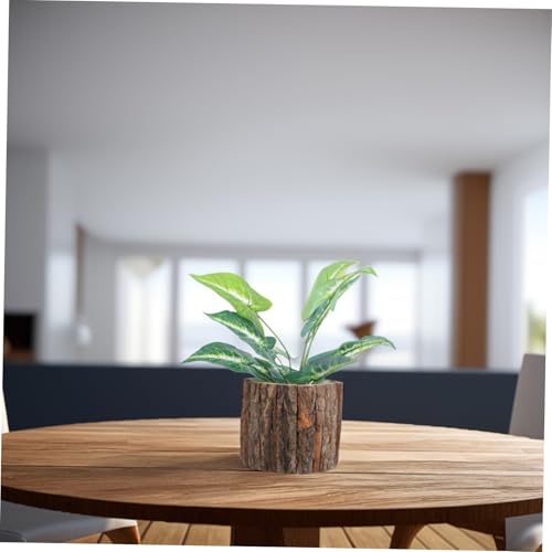 Souche arbre robuste pour intérieur extérieur et décoration