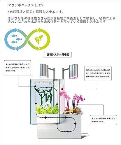 Amazon.co.jp: Aquaponics Brio Main Body Brio Aquarium Set, White