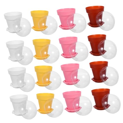 healvian 20 Zbg ACX N[ Jbv Wt vX`bN ACX N[ {E ~j fU[g Jbv Wt