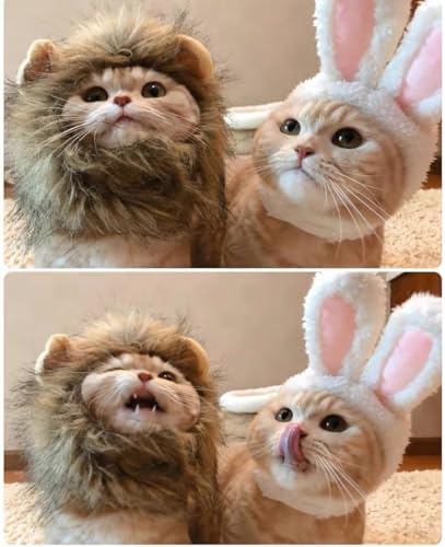 2 peças de orelhas de coelho de gato e peruca de juba de leão para fantasia de gato, chapéus de gato