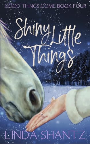 Shiny Little Things: A cozy small town holiday happily ever after (Good Things Come Book 8)
