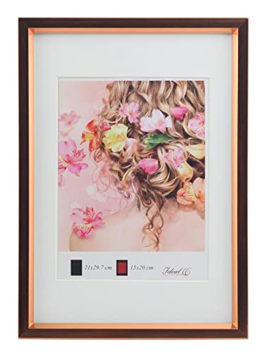 Metal Style Kunststoff Bilderrahmen DIN A4 bis 50x70 cm Urkunde Foto Rahmen: Farbe: Rose Gold | Format: 50x70 Cover