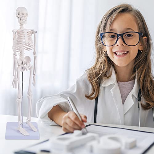 Image of NLShan Human Skeleton Model for Anatomy: Scientific Model with Movable Arms, Legs & Display Stand - 17 inch Mini Human Skeleton Model for Study and Display