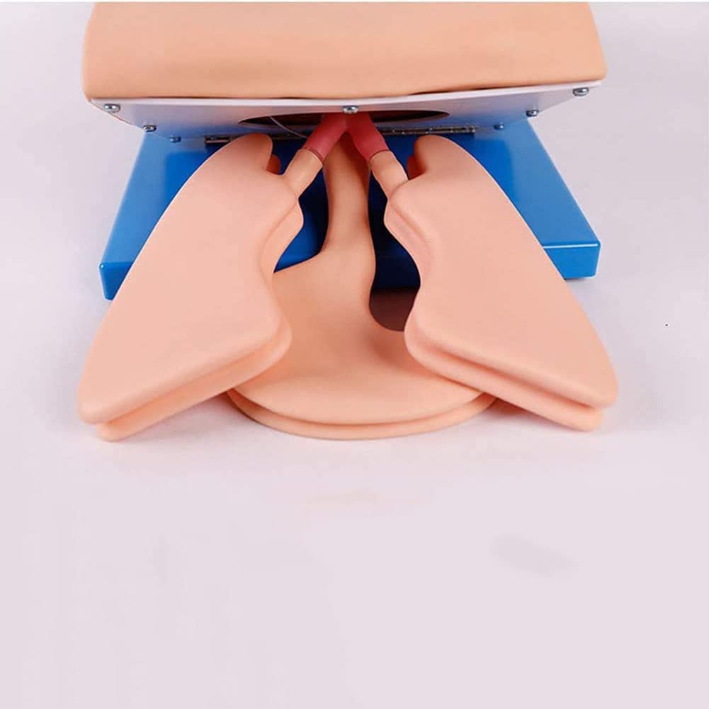 Intubation Manichin Simulator - Allenatore di gestione delle vie aeree per l'educazione medica - Modello di addestramento per l'intubazione tracheale con allarme