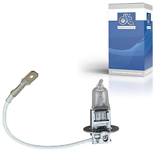 DT Spare Parts 1.21572 Glühlampe Nebelscheinwerfer
