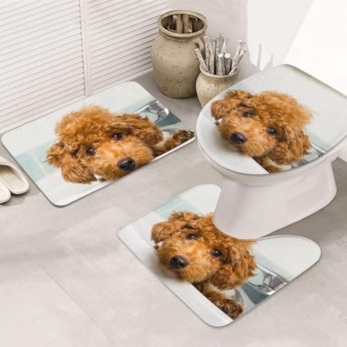 gC 3_ t^Jo[ v[h q   K C 唻 ӂ ~  zD YADX020