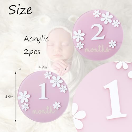 Image of Acrylic Daisy Baby Milestone Cards, 3D Baby Milestone Signs, 1-12 Months Interchangeable Monthly Milestone Sign, Baby Announcement Sign, Baby Photo Prop
