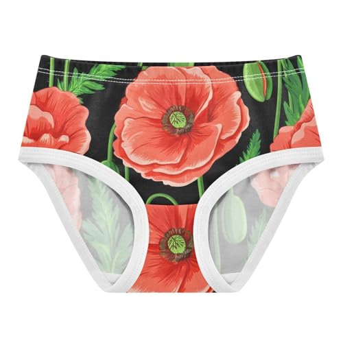 Girls Underwear Toddler 2t Cotton Panties Little Girl Animals Kids Briefs Undies Red Poppy Flowers Green Black