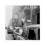 IMPRIMÉ EN FRANCE : Offrez-vous un souvenir de qualité. Chaque magnet est imprimé avec soin dans notre atelier en France. Le procédé d'impression thermique fixe les couleurs dans la céramique pour un éclat durable qui ne ternit pas à la lumière.