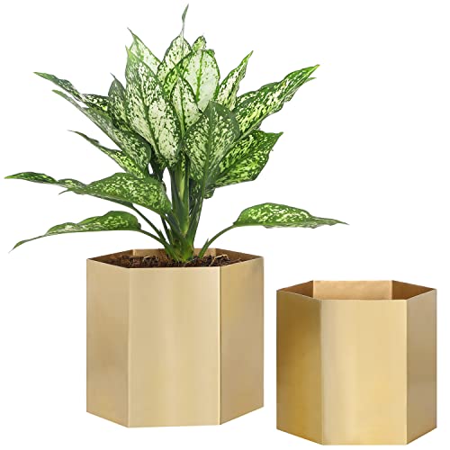 Vase Pot The 16 best products compared Product guide The product