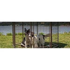   Advantek-Pet-5-Foot-Pet-Outdoor-Gazebo-Designer-Polyester-Market-Canopy-Cover-Tarp-Umbrella-Top-Cobalt-Sky