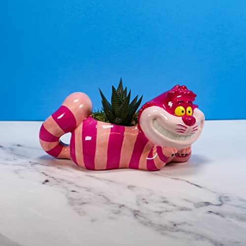 Half Moon Bay: Centrotavola Alice nel Paese delle