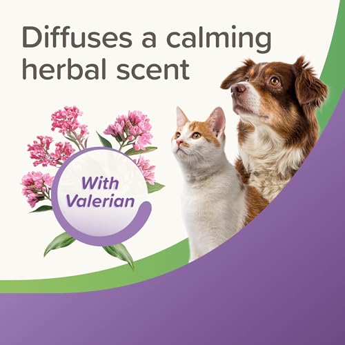 Beaphar – StressLess Herbal Calming Home & Travel Spray – Promotes a Calm Environment for Cats & Dogs at Home or In Car – Reduces Stress & Anxiety - With Valerian Extract – 125ml Spray - Image 6