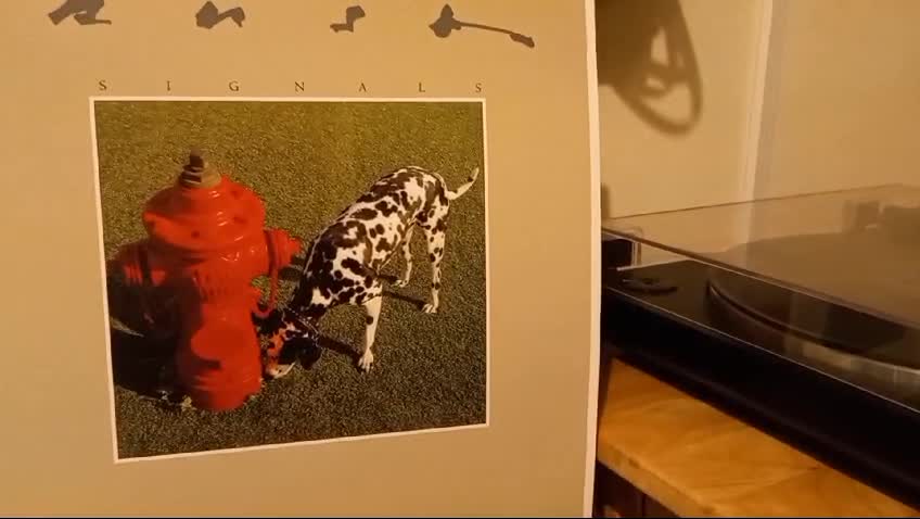 Amazon.co.jp: Signals: ミュージック