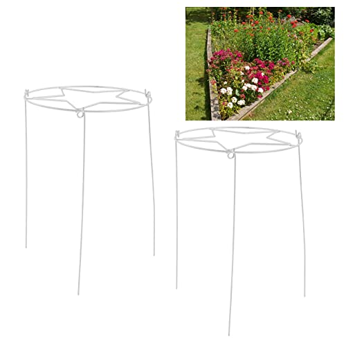 2 Pcs Suporte de Plantas Estacas de Jardim Gaiolas de Peônia Suporte de EstacaAnel para Jardim Redon