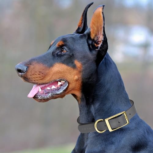 Image of Viper Biothane Heavy Duty Waterproof Dog Collar Strong Coated Nylon Webbing w /Solid Brass Hardware Odor-Proof Easy to Clean High Performance Fits Small Medium or Large Dogs, Battleship Gray