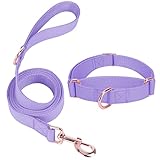 Soft Leather Martingale Dog Collar - Adjustable Rose Gold Limited Slip Collars [Easy to Clean], Styl