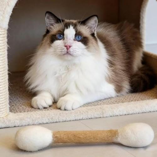 Juguetes para Gatos Colcolo suministros interactivos con hisopos de algodón para interior 5