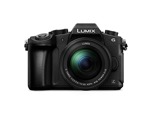 Obiettivi Lumix G, Micro quattro terzi 12 - 60 mm obiettivo zoom standard/24-120 mm