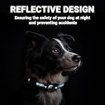 AirTag Dog Collar, IP68 Waterproof Integrated Air Tag Dog Collars with Reflective, Ultra-Durable, Comfortable Padded, Heavy Duty Dog Collars for Small Medium Large Dogs, S (10.6"-13.6"), Blue - Image 5