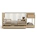 Graco Teddi 5-in-1 Convertible Crib & Changer with Drawer (Driftwood) – GREENGUARD Gold Certified Baby Crib Crafted from Wood, Converts to Toddler Bed, Daybed, and Full-Size Bed