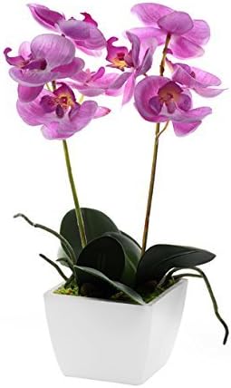 CB Imports Artificial Mini Orchid in a Pot - 34cm Including Pot (34cm, Pale Pink)