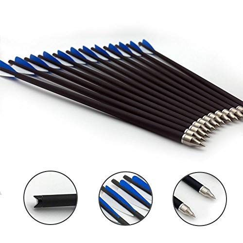 Jocoo 20" Carbon Crossbow Bolts Hunting Archery 20 Inch Arrows With 4" Vanes And Replaced Arrowhead/Tip (12 Pack) #TOP3